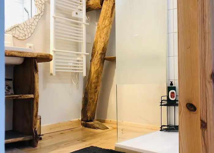 L'auberge Des Pyrenees La Barthe-de-Neste