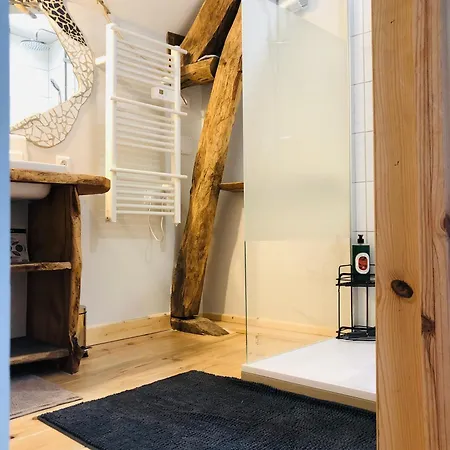 L'auberge Des Pyrenees La Barthe-de-Neste