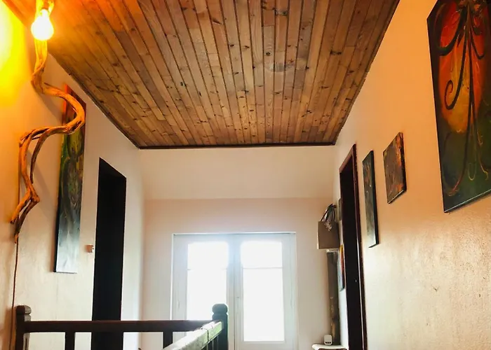 L'auberge Des Pyrenees Bed & Breakfast La Barthe-de-Neste